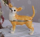 Uroczy Chihuahua Szkatułka w Stylu Faberge
