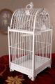 biała klatka dla ptaków styl prowansalski shabby chic