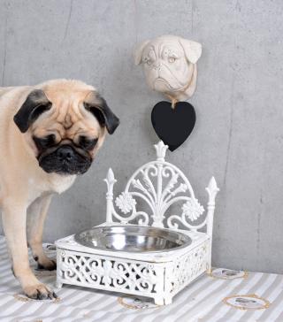 stylowa miska dla psa lub kota shabby chic