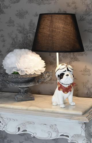 mops w goglach osobliwa wysoka lampa