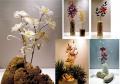 żółto-brązowa orchidea niepowtarzalny kwiat ze szkła