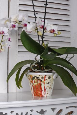 wiaderko osłonka na doniczkę gustaw klimt medycyna porcelana