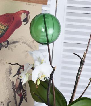 szklana kula zielona dekoracje ogrodowe